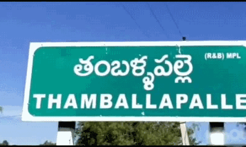 త‌మ్ముళ్ల తొంద‌ర‌: తంబ‌ళ్ల‌ప‌ల్లిలో క్యూ క‌ట్టారుగా.. !