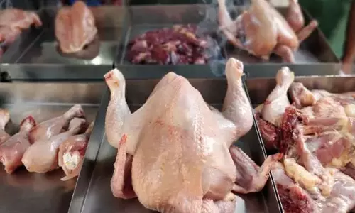 ఇక చికెన్ షాపులకు లైసెన్సులు.. తెలంగాణ ప్రభుత్వం నిర్ణయం.