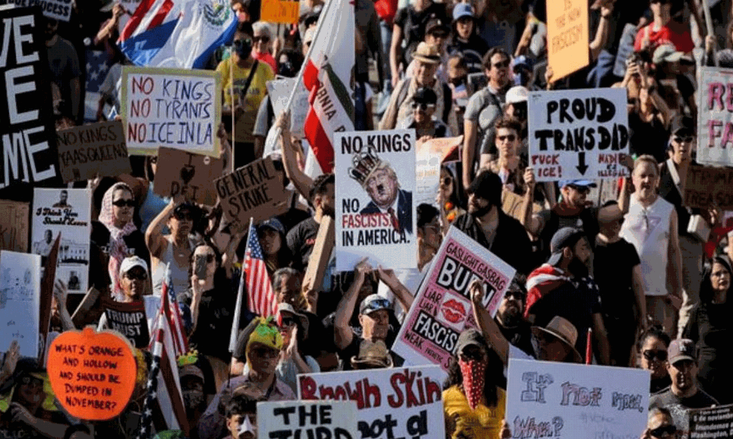 7 మిలియన్ల మంది రోడ్డెక్కారు.. అమెరికాలో అసలేంటి ‘నో కింగ్’ ఉద్యమం..  ఎలా మొదలైంది?