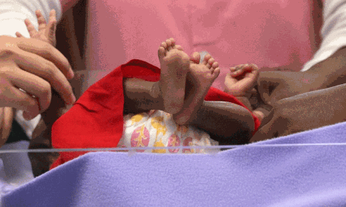 2023 జనాభా లెక్కలను రిలీజ్ చేసిన సీఆర్ఎస్.. రెండు తెలుగు రాష్ట్రాల జనాభా ఎంతంటే?