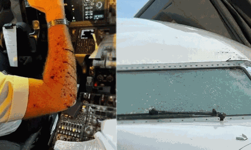 ఒక్కసారిగా కాక్ పిట్ బద్ధలు కొట్టి లోనికి.. అసలు ఏంటా వస్తువు..?