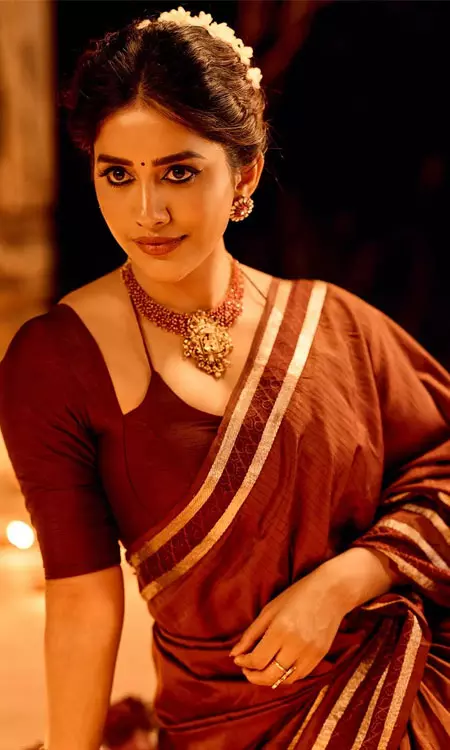 Nabha Natesh Shines This Diwali Wearing Her Mother�s Saree