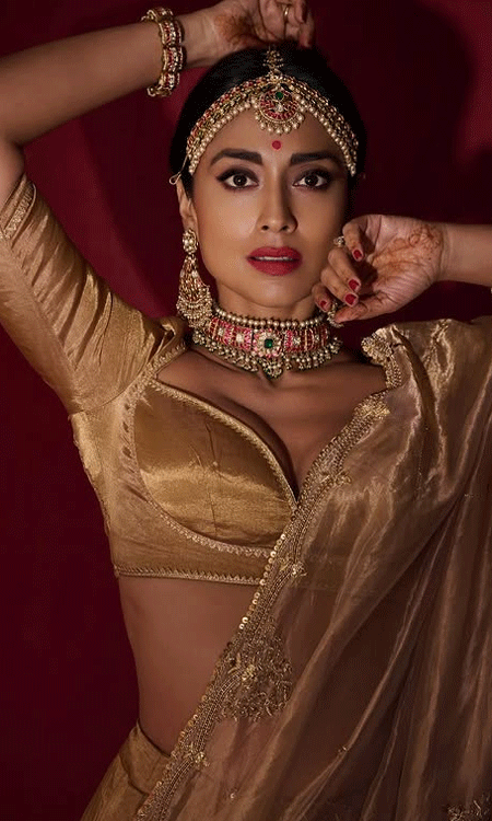 Ethereal Charm: Shriya Saran Glows in Timeless Elegance