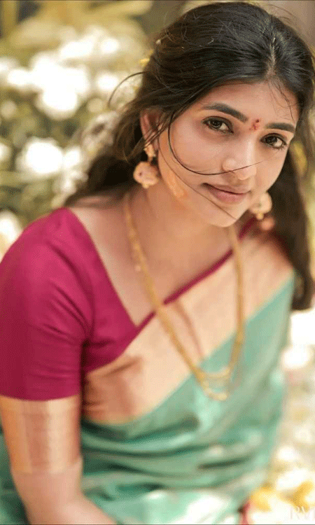 Nara Rohith plans a grand wedding in royal style