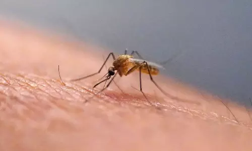 ఆ దేశంలో ఫస్ట్ టైమ్ మూడు దోమలు కనిపించాయి తెలుసా?