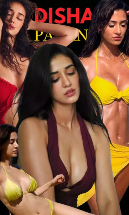Disha Patanis Rising Global Appeal