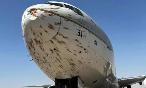 విమానాన్ని ఢీకొట్టిన పక్షుల గుంపు.. పిక్స్  వైరల్!