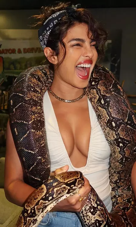 Priyanka Chopra Holds a Giant Snake Like a Total Queen