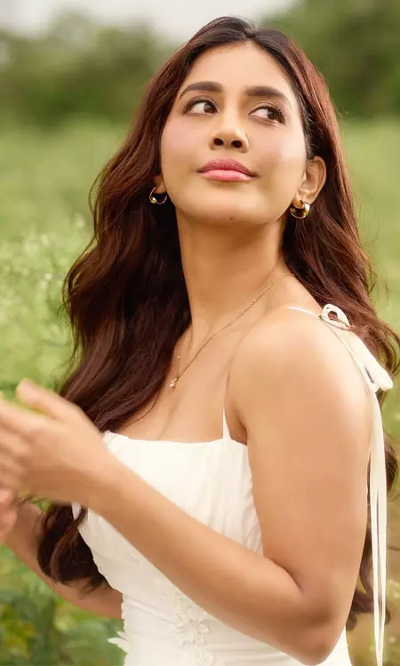 Nabha Natesh Dazzles Fans with Beauty and Elegance