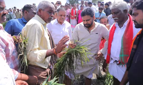 పవన్ నుంచి కోరుకున్నది ఇదే కదా? అవనిగడ్డలో ఏం చేశారో తెలుసా?