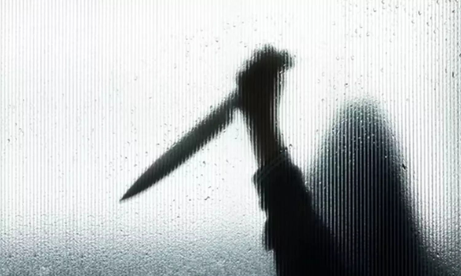 గొడవలకు చెక్ చెప్పేందుకు భర్తను ఏసేసే ప్లాన్ చేసిన భార్య