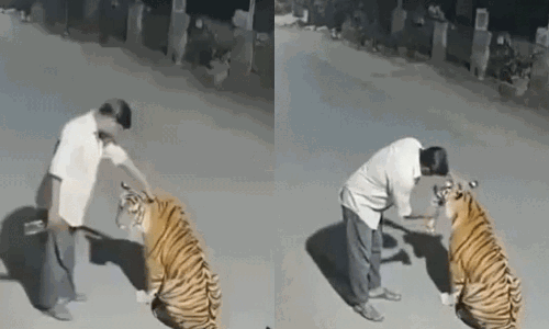 మరోసారి నెటిజన్లకు ఏప్రిల్  ఫూల్.. ఏఐ వీడియో వైరల్!