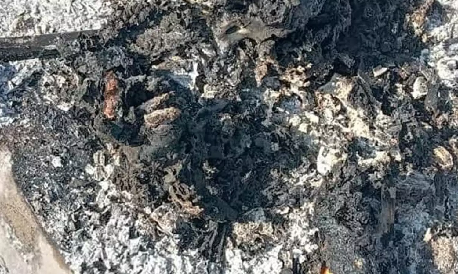 చితాభస్మాన్నీ వదలని దొంగలు.. మనిషితనాన్ని మర్చిపోయిన లోభం! చితాభస్మాన్నీ వదలని దొంగలు.. మనిషితనాన్ని మర్చిపోయిన లోభం!