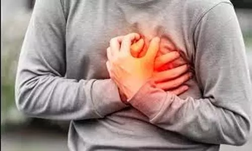 అమెరికాలో 29 ఏళ్లకే నిండు నూరేళ్లు నిండాయి.. తెలుగు విద్యార్థి దుర్మరణం