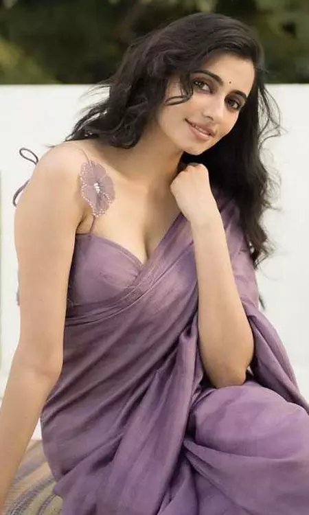 Maanasa Chaudhary Stuns in an Elegant Purple Saree