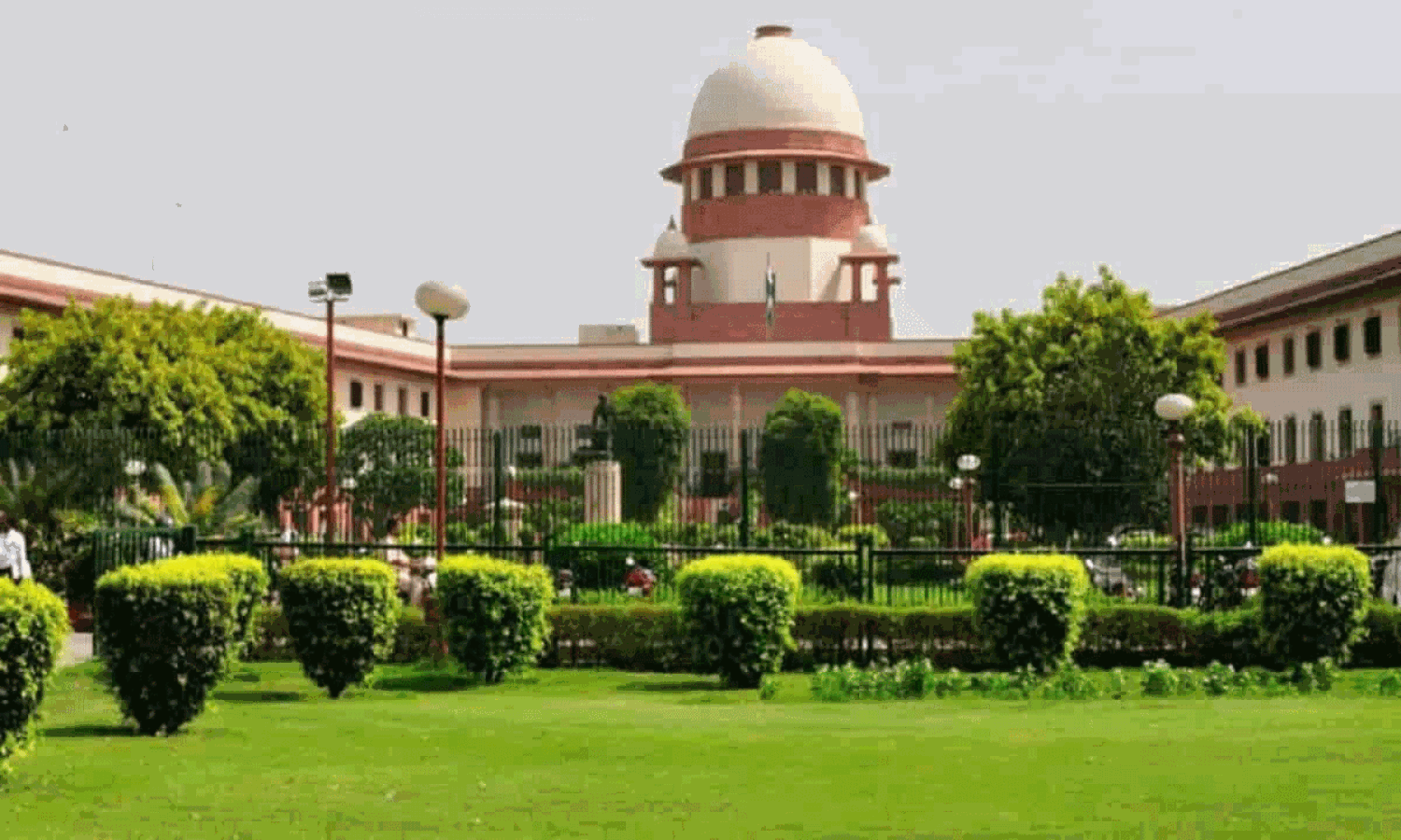 వీధి కుక్కలు  కనిపిస్తే తరలించాలని  సంచలన ఆదేశం