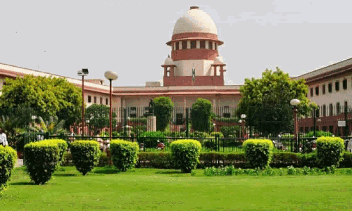 వీధి కుక్కలు  కనిపిస్తే తరలించాలని  సంచలన ఆదేశం