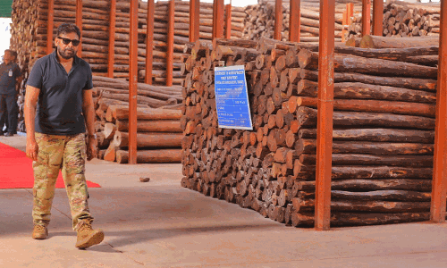 ఎన్ని లక్షల చెట్లను నరికేశారో ప్రపంచానికి తెలియాలి