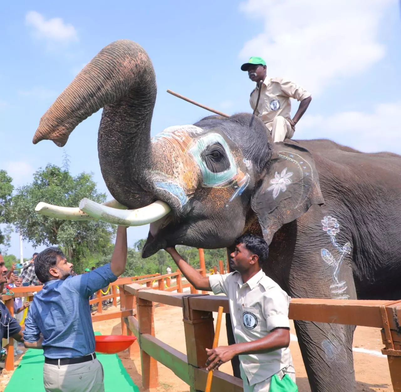 Shri Pawan Kalyan Visits Musalamadugu Kumki Elephant Training Centre