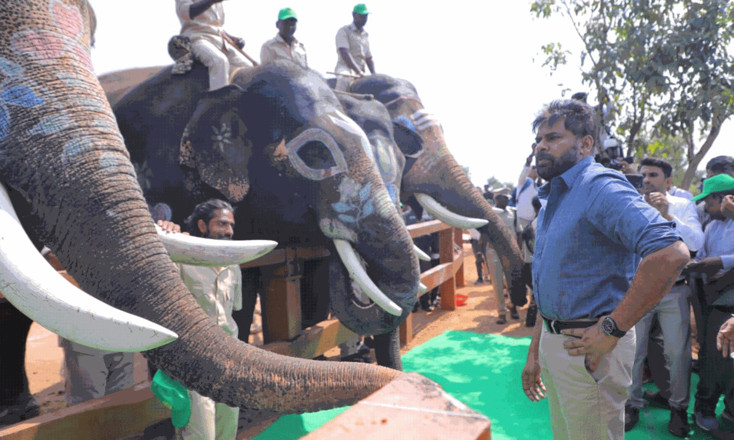 పవన్ మురిపెం...వాటి సంబరం పవన్ మురిపెం...వాటి సంబరం