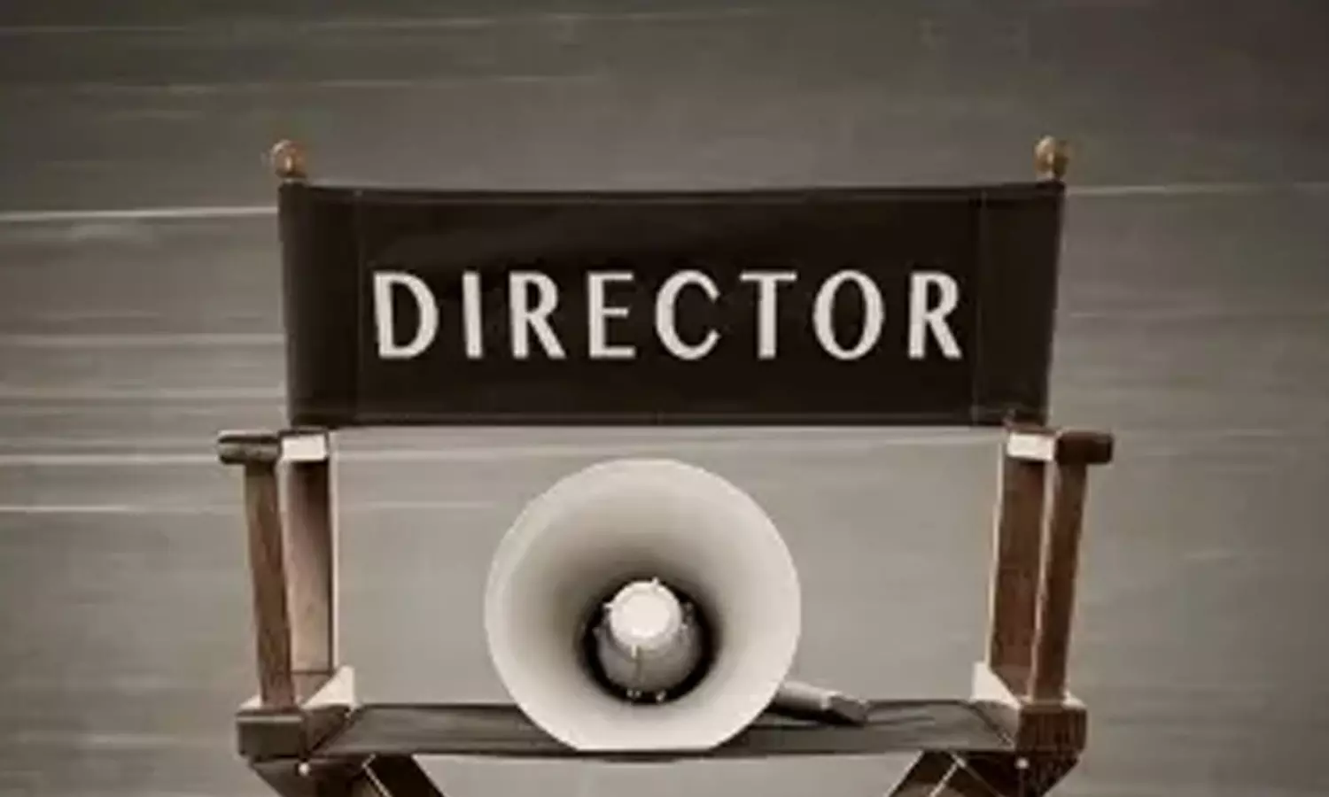 ఇండియన్ బాక్స్ ఆఫీస్ వద్ద లీడింగ్ డైరెక్టర్లు..