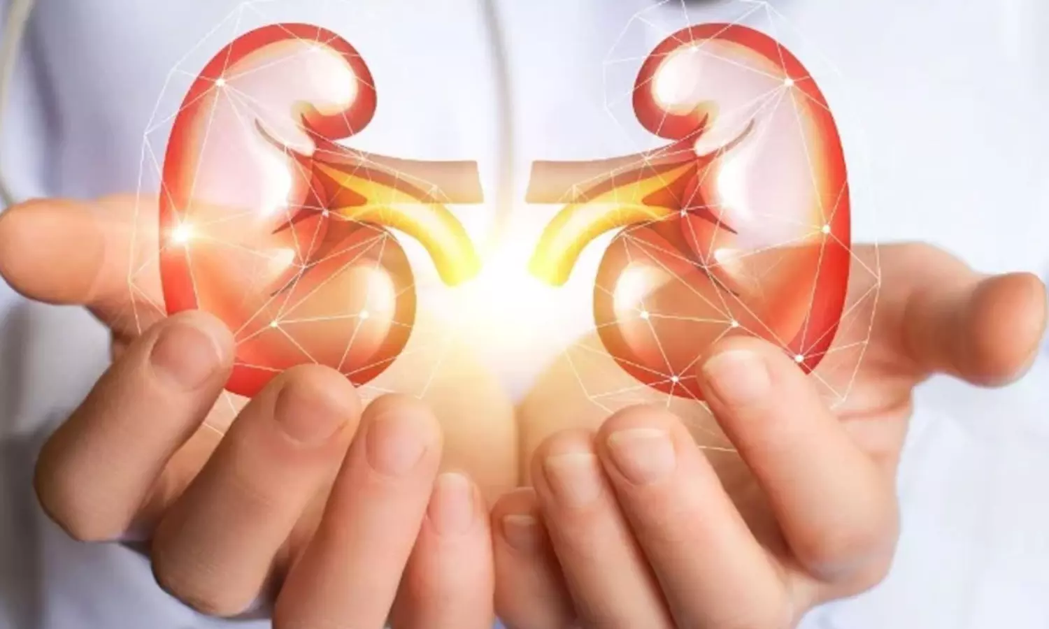 మదనపల్లిలో కిడ్నీ రాకెట్.. యమున మరణం వెనుక ఉన్న దారుణ కుట్ర బయటికొచ్చింది!