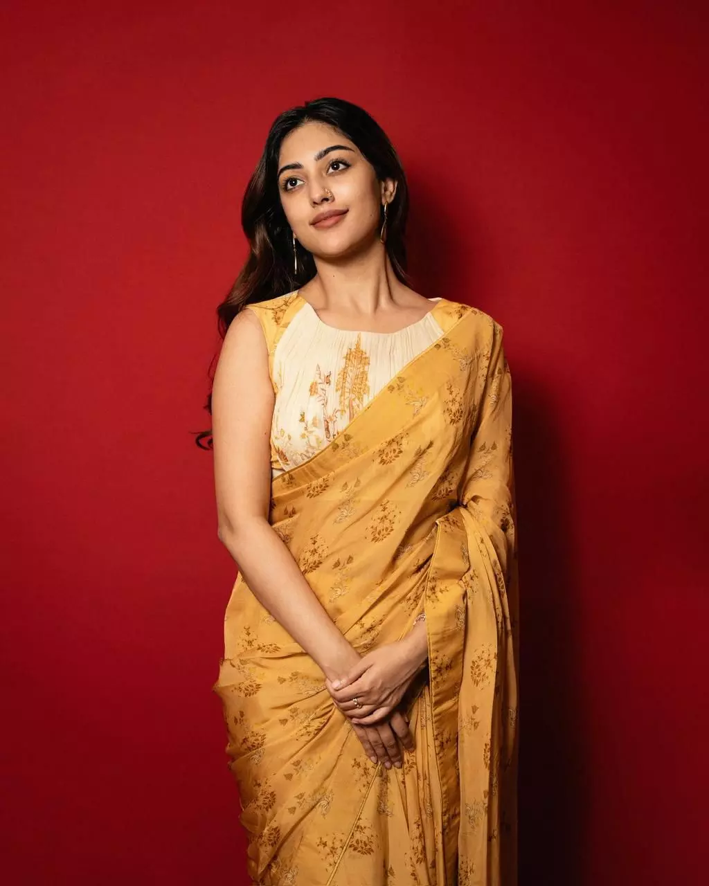 Anu Emmanuel Stuns in a Dreamy Saree Look