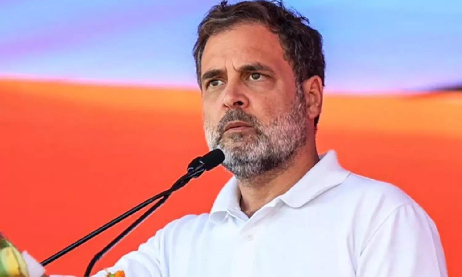 బిహార్ ఎన్నికలు: మజ్లిస్ కంటే ఒక్క సీటు ఎక్కువా రాహుల్? బిహార్ ఎన్నికలు: మజ్లిస్ కంటే ఒక్క సీటు ఎక్కువా రాహుల్?