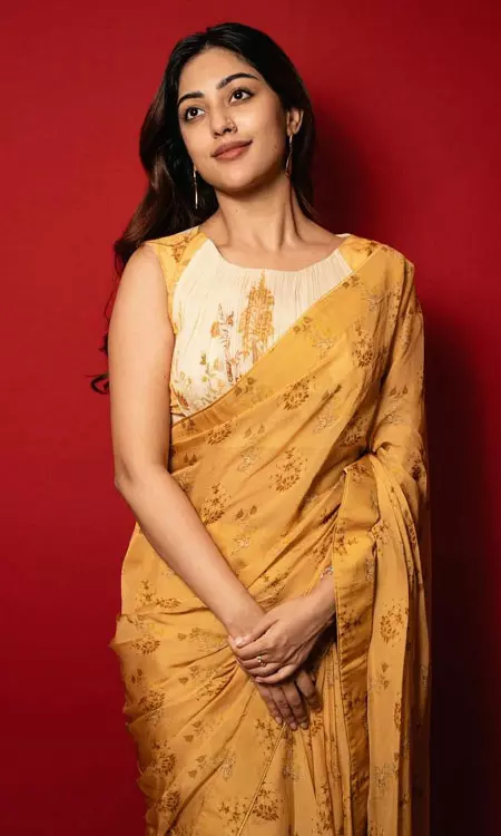 Anu Emmanuel Stuns in a Dreamy Saree Look