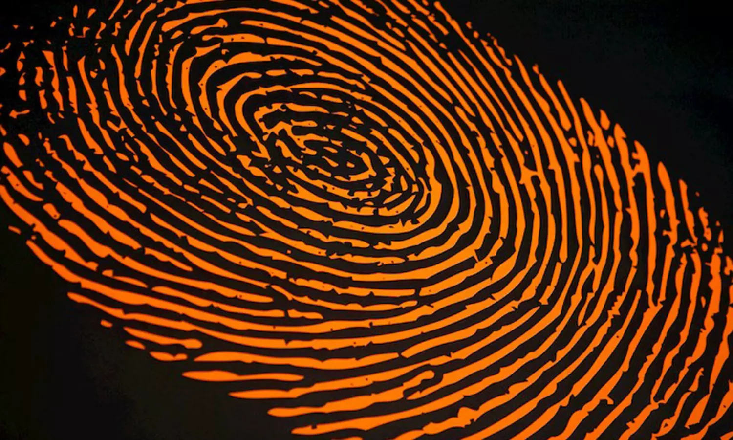 ఒకేలా ఇద్దరి వేలి ముద్రలు... సైన్స్ లో కొత్త అప్డేట్ ఒకేలా ఇద్దరి వేలి ముద్రలు... సైన్స్ లో కొత్త అప్డేట్