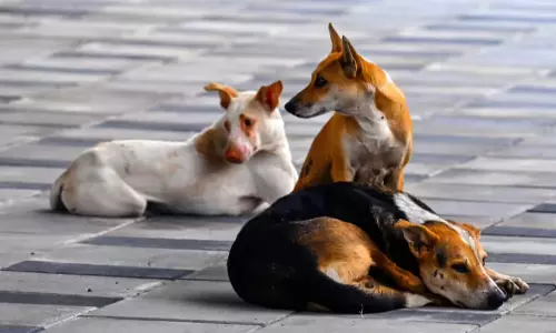 భార్యంటే భయపడుతోన్న  భర్త... తెరపైకి షాకింగ్  రీజన్!