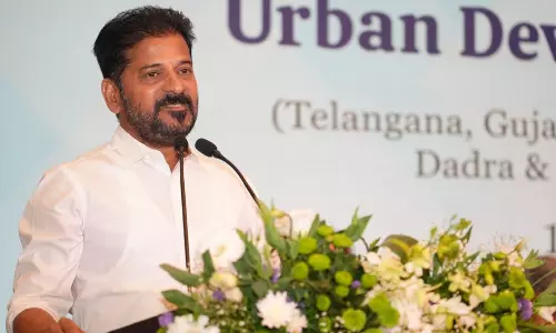 కలెక్టర్ ను అన్న ఆ ఒక్కమాటతో మనసు దోచిన రేవంత్