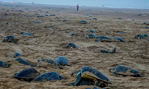 భీమిలీలో బిగ్ షాట్స్ కట్టడాలకు భారీ షాక్