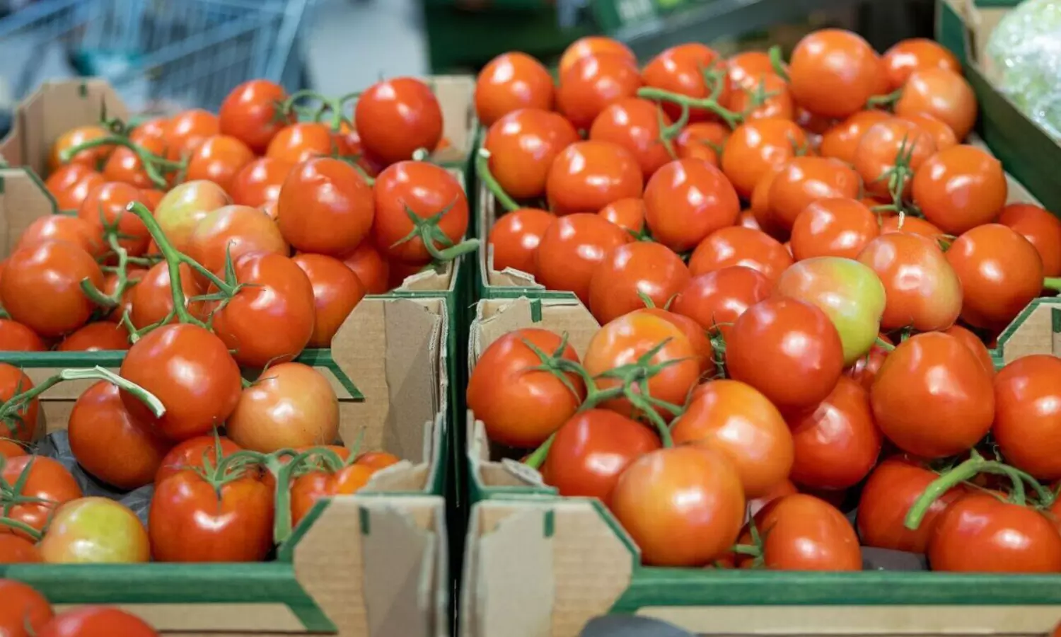 టమాటా మోత...సెంచరీకి చేరువలో