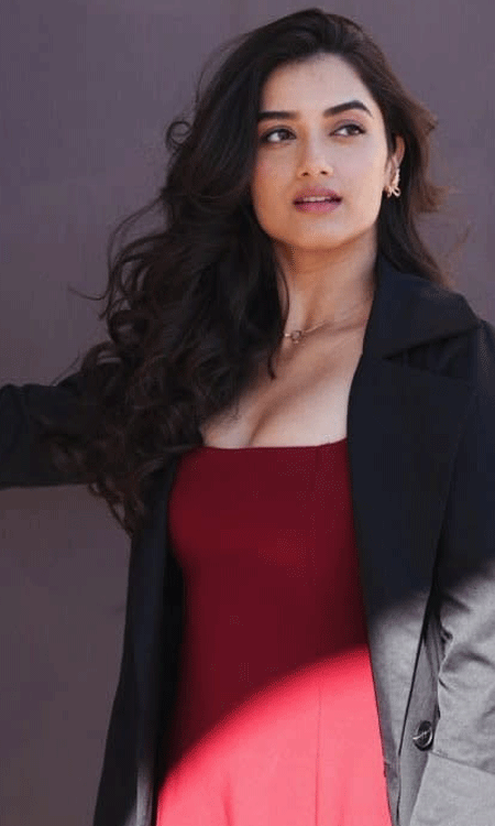 Ram and Bhagyashri Borse Celebrate Andhra King Taluka Success in Dallas