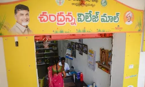 డీమార్ట్ కన్నా తక్కువ ధరలకు సరుకులు.. చంద్రన్న విలేజ్ మార్టులకు ప్లాన్