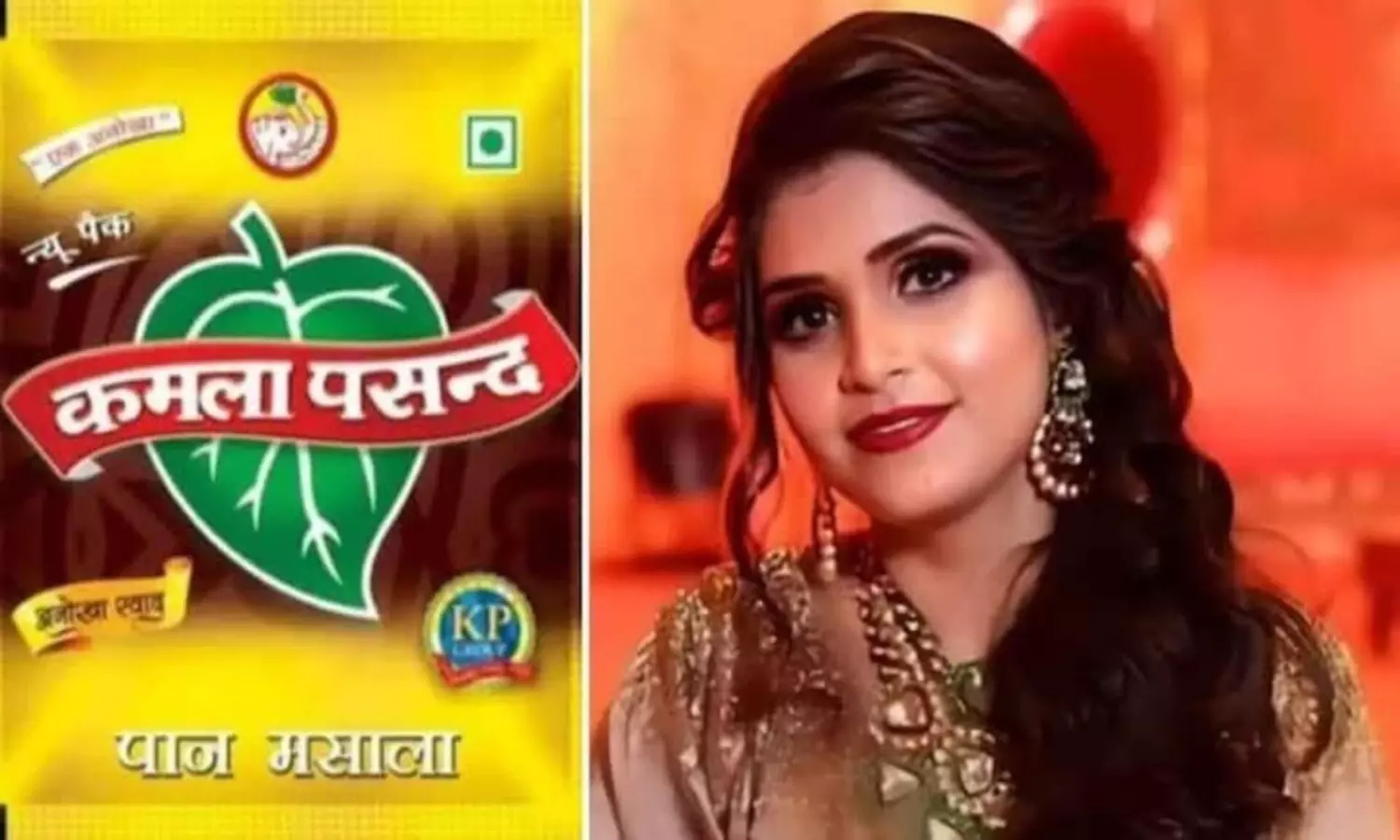 పాన్ మసాలా కింగ్ కోడలి మృతి కేసులో షాకింగ్  ఆరోపణలు