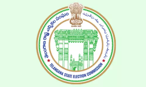 పంచాయ‌తీ పోరు:  తొలి ద‌శ స‌మాప్తం.. 50 ల‌క్ష‌లు ప‌లికిన‌ ప‌ద‌వి!