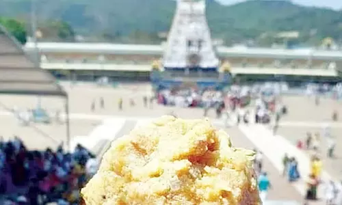 ఫిర్యాదుదారే నిందితుడు.. టీటీడీ నెయ్యి కేసులో ట్విస్టు! మరో 11 మందిపై కేసులు