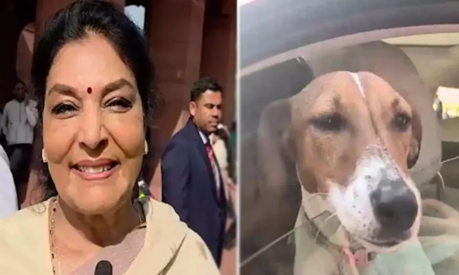 బీజేపీ ఫైర్... పార్లమెంటుకు  రేణుకా చౌదరి పెంపుడు కుక్క!