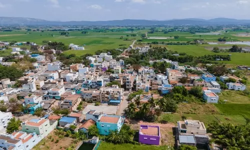 పల్లెలే దేశానికి పట్టుకొమ్మలు..ఈ కొమ్మ లెక్కే వేరు.. సూపరు!