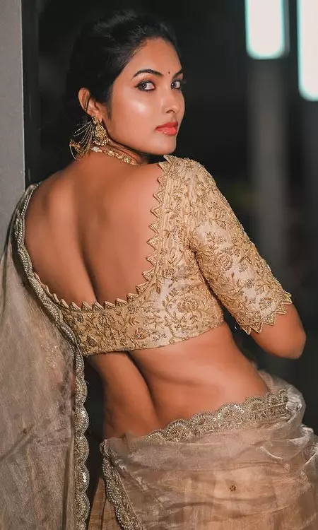 Divi Radiates Elegance in a Timeless Golden Ensemble