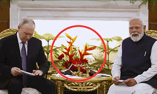 పుతిన్ మోదీ మధ్య... ఆ మొక్క లెక్కే వేరు....