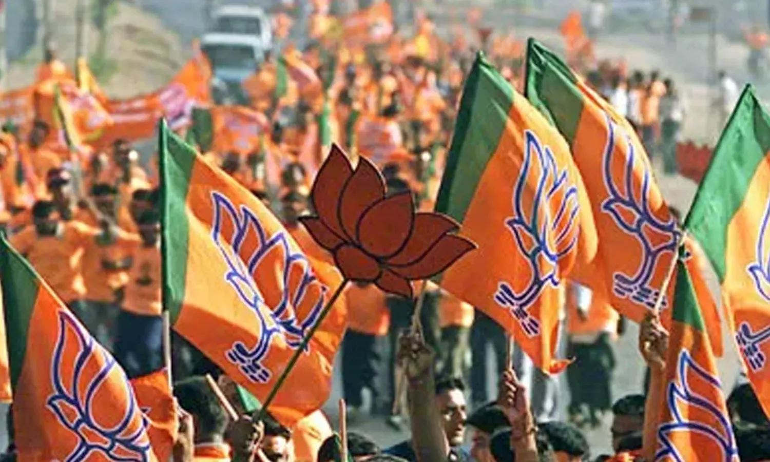 ఎలా గెలవాలో తెలుసట...బీజేపీ ఎమ్మెల్యే రచ్చ !