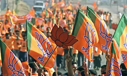 ఎలా గెలవాలో తెలుసట...బీజేపీ ఎమ్మెల్యే రచ్చ !