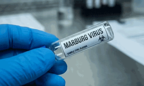 అలెర్ట్: కరోనాను మించి మరో ప్రాణాంతక వ్యాధి.. లక్షణాలు, జాగ్రత్తలు ఇవే!