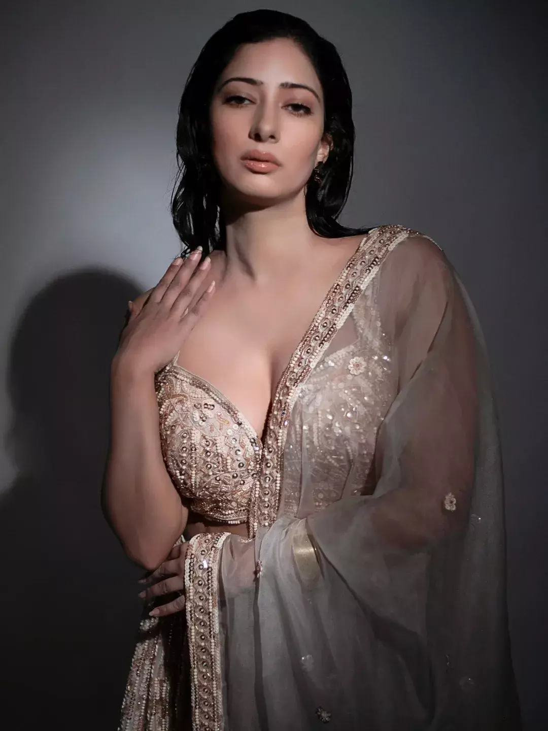 Niharica Raizada’s Timeless Beauty Shines in Classic Gold Saree Shoot