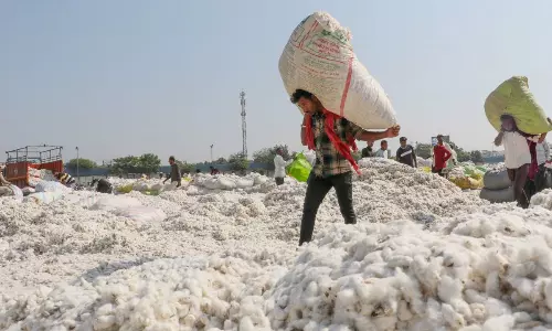 తెల్ల బంగారం మారింది... బంగ్లా విషయంలో భారత్  ను వెనక్కి నెట్టిన బ్రెజిల్!