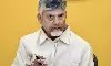టీడీపీ కమిటీల ఎంపిక.. చంద్రబాబుకే సాధ్యం కావడం లేదా?