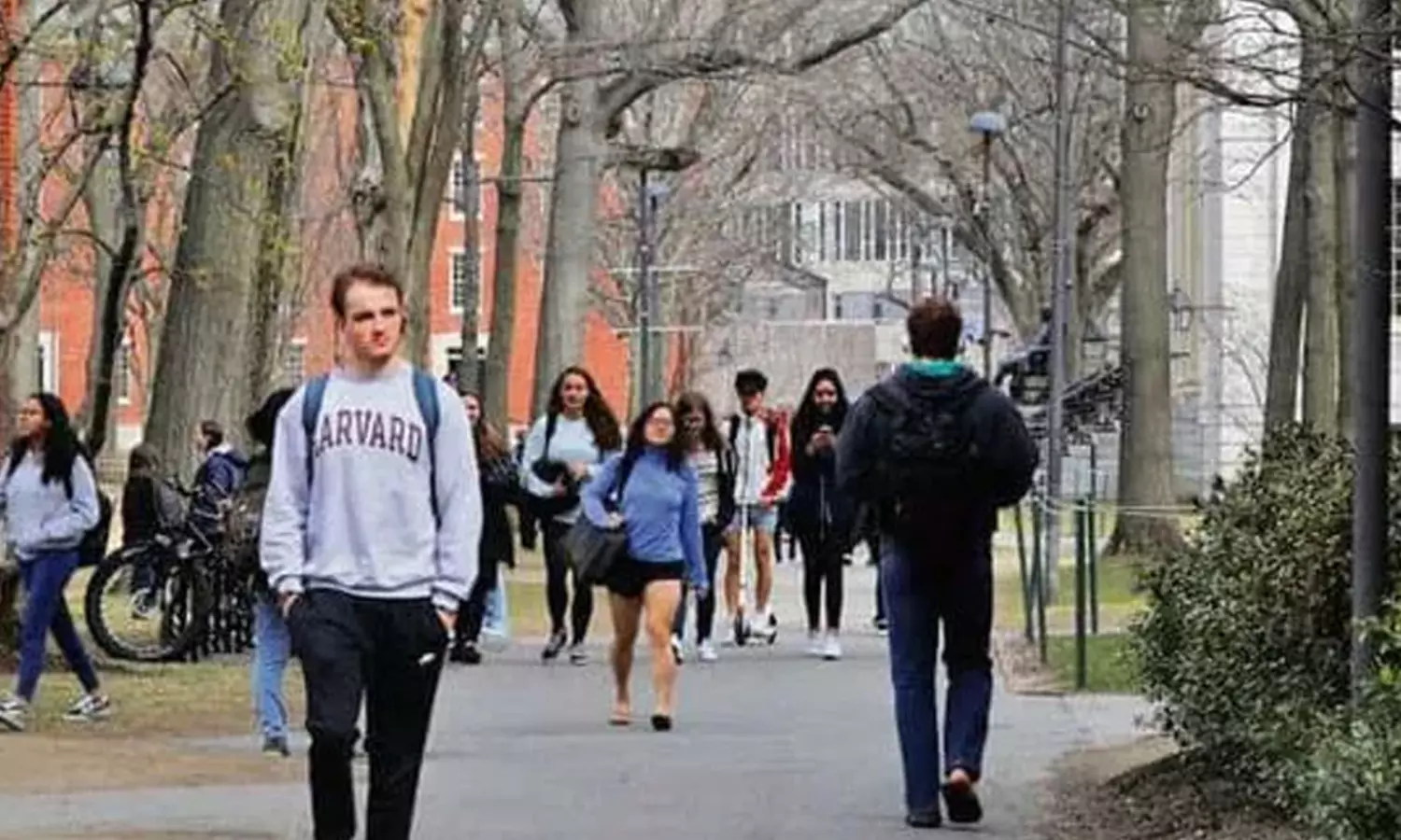 ఐదేళ్ల రూల్.. ఇండియన్స్కు ఎంత కష్టం? అమెరికా టూరిస్టులకు కొత్త తలనొప్పా? ఐదేళ్ల రూల్.. ఇండియన్స్కు ఎంత కష్టం? అమెరికా టూరిస్టులకు కొత్త తలనొప్పా?